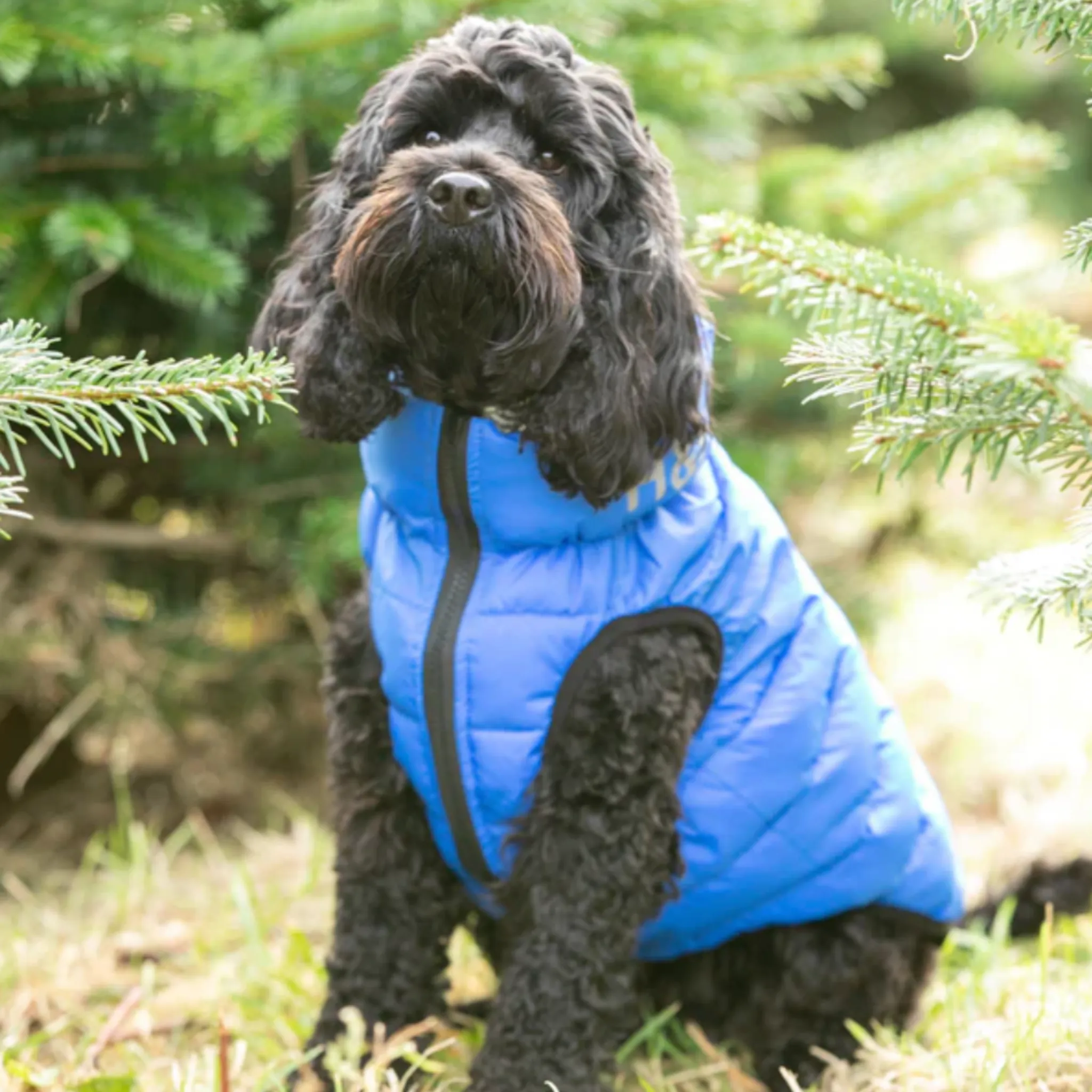 Hugo & Hudson Dog Puffer Jacket Reversible Blue & Navy