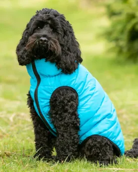 Reversible Dog Puffer Jacket - Light Blue and Grey