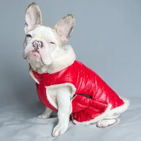 Woofiezz Warm & Comfortable Stylish Jackets for Dogs and Cats (Red)