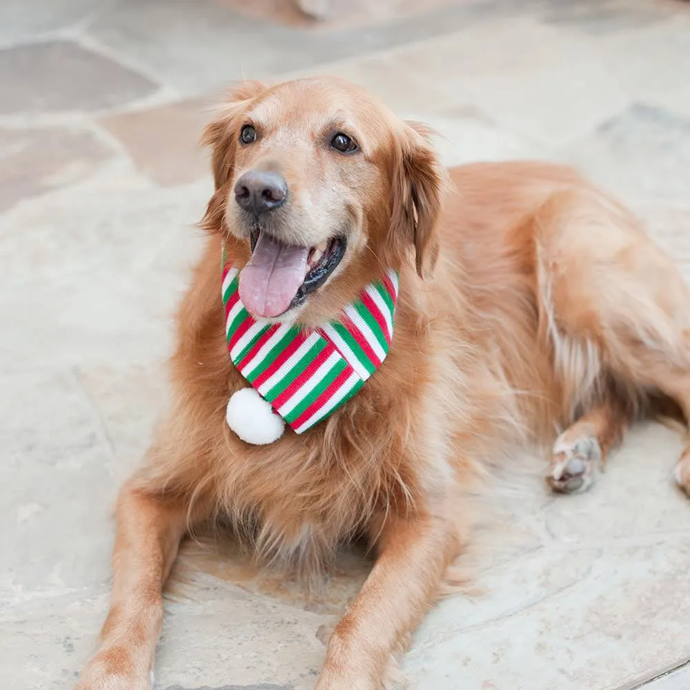 ZippyPaws Holiday Scarf